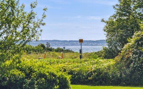 Hermund - 100M from the Sea: Ciel, Bleu, Vert, La Nature, Herbe, Feuille, Végétation, Paysage Naturel, Arbuste, Paysage