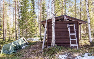 Pyhä Pikkukarhu