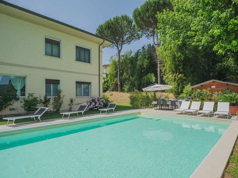 Camaiore 697