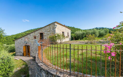 Logement:&nbsp;Cerretino Oliveto 647.3