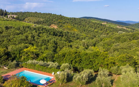 Castellina in Chianti 647: Nuage, Plante, Ciel, Communauté Des Plantes, Vert, Paysage Naturel, L'Eau, Lot Terre, Arbre, Herbe