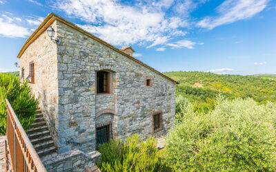 Logement:&nbsp;Cerretino Oliveto 647.3