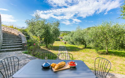 Logement:&nbsp;Cerretino Oliveto 647.3