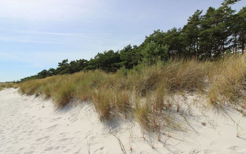 Auvo - 200M from the Sea: Bois, Toit, Architecture, Domicile, Maison, Chalet, Siding, Dur, Pente, Biens