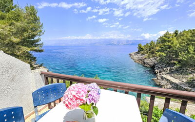 Logement:&nbsp;Octopus 300.3