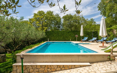 Nataša: Table, Meubles, Plante, Propriété, Bâtiment, Chaise, Bois, Design Intérieur, Arbre, Sol