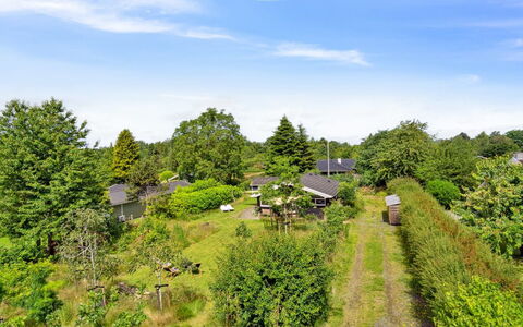 Thanee - 600M to the Fjord: Arbre, Végétation, Arbuste, Paysage, Zone Rurale, Lot Terre, Chalet, Jardin, Couverture De Sol, Biens