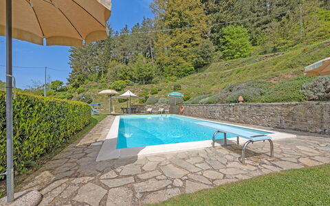 La Montana: L'Eau, Plante, Piscine, Bleu Azur, Ombre, Arbre, Mobilier De Jardin, Bâtiment, Rectangle, Parapluie
