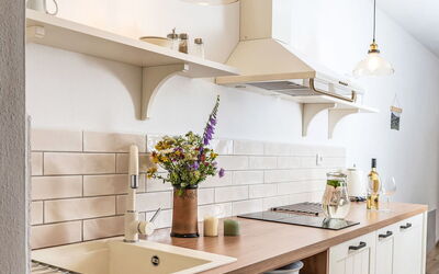 Logement:&nbsp;Želnava 100.2