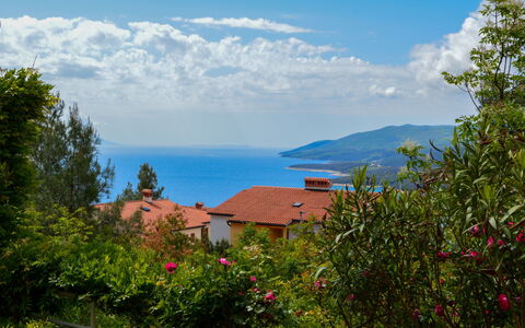 Kiki: Nuage, Fleur, Ciel, Plante, Communauté Des Plantes, Bleu Azur, Bâtiment, Paysage Naturel, Arbre, Chalet