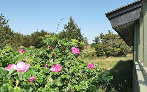 Srebrenka - 1.2Km from the Sea