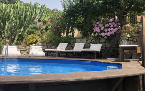 San Noto House With Pool Ac Wifi: L'Eau, Plante, Propriété, Fleur, La Nature, Bleu Azur, Table, Rectangle, Bâtiment, Éclairage