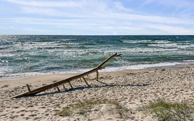 Freija - 800M from the Sea