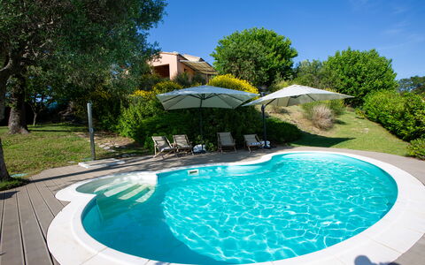 Villa Gelso: L'Eau, Plante, Propriété, Ciel, Piscine, Bleu Azur, Arbre, La Nature, Mobilier De Jardin, Plan D'Eau