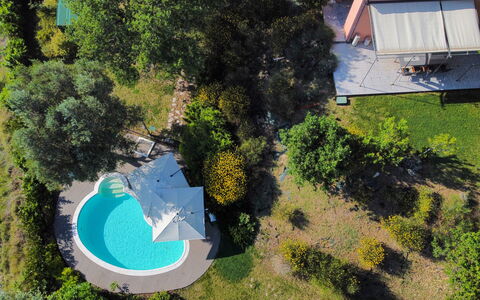 Villa Gelso: Plante, Propriété, Communauté Des Plantes, Bleu Azur, Lot Terre, Biome, Herbe, Design Urbain, Loisir, Paysage