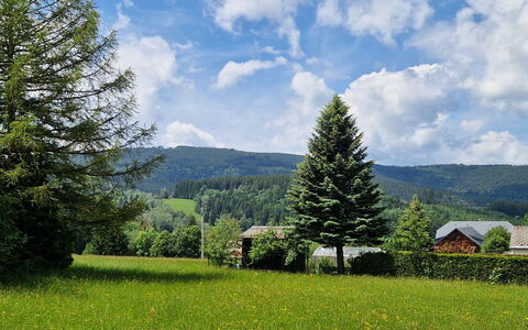 Javorná Lodge: Plante, Bâtiment, Fenêtre, Ciel, Vert, Maison, Arbre, Paysage Naturel, Lot Terre, Herbe