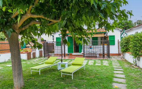Chalet la Mazzanta: Plante, Extérieur Banc, Botanique, Feuille, La Nature, Arbre, Ombre, Mobilier De Jardin, Herbe, Loisir