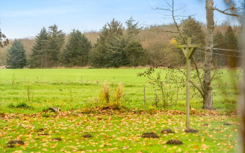 Thorgot - 3Km from the Sea: Vert, Herbe, Feuille, Environnement Naturel, Prairie, Paysage Naturel, Plaine, Pâturage, Lot Terre, Prairie