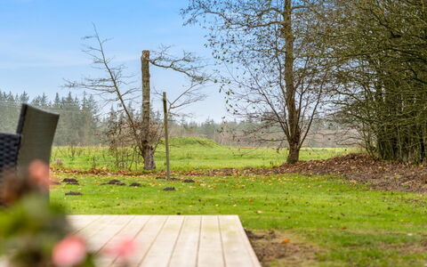 Thorgot - 3Km from the Sea: Vert, Herbe, Arbre, La Nature, Feuille, Branche, Paysage Naturel, Végétation, Arbuste, Paysage
