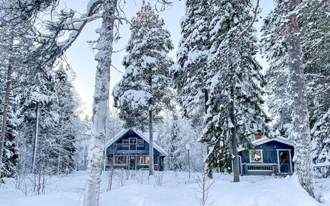 Villa Wirtanen: Neige, L'Hiver, Arbre, Branche, Bois, Maison, Chalet, Domicile, Gelé, Brindille
