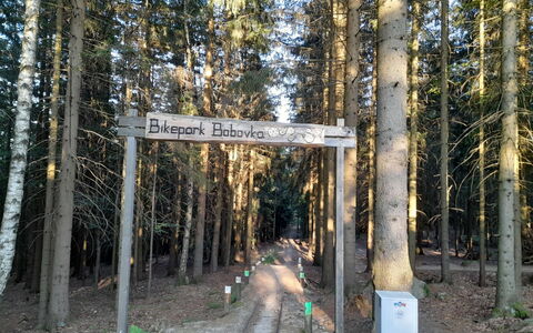 Desná V Jizerských Horách 841: Plante, Paysage Naturel, Bois, Tronc, Biome, Rue, Arbre, Terrestre Des Plantes, Paysage, À Feuilles Caduques