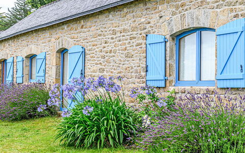 Pen Er Hoët: Plante, Fleur, Fenêtre, Bleu, Botanique, Bâtiment, Végétation, Herbe, Arbuste, Immobilier