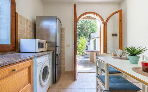Approdo: Plante, Cabinetry, Propriété, Comptoir, Meubles, Plante D'Appartement, Pot De Fleur, Table, Appareil De Cuisine, Bois