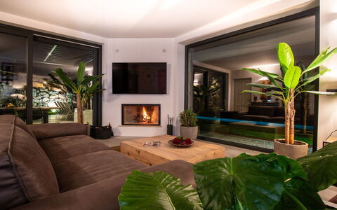 Villa Paradise: Plante, Propriété, Vert, Plante D'Appartement, Éclairage, Design Intérieur, Canapé, Confort, Sol, Salon