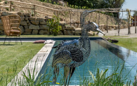 Villa Paradise: L'Eau, Plante, Arbre, Banque, Herbe