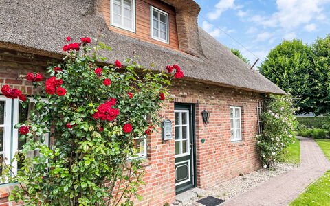 Laerchenshus: Plante, Fleur, Bâtiment, Fenêtre, Propriété, Nuage, Maison, Ciel, Chalet, Brickwork