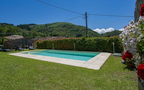 Nide: Ciel, Plante, Bleu Azur, Fleur, Rectangle, Herbe, Ombre, Loisir, Piscine, Paysage