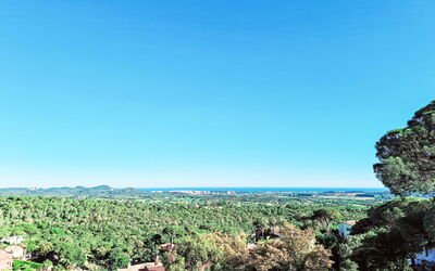 Panoramic