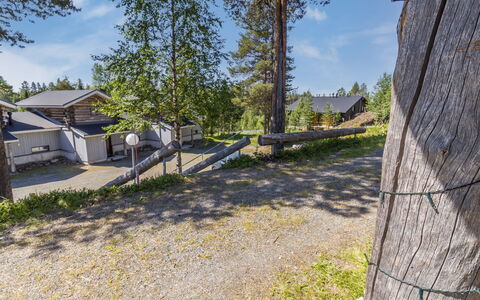 Rukaköngäs 27: Arbre, Branche, Domicile, Maison, Chalet, Ombre, Biens, Allée, Siding, Aménagement Paysager