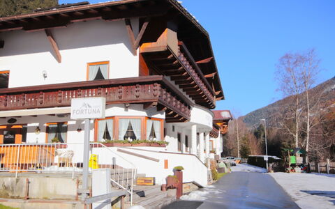 See 101: Balcon, Alpes, Mélèze, Gelé