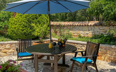 Bepo: Plante, Meubles, Table, Parapluie, Tableau De Plein Air, Ombre, Arbre, Mobilier De Jardin, Rectangle, Loisir