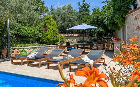Bepo: Plante, L'Eau, Fleur, Propriété, Meubles, Parapluie, La Nature, Bleu Azur, Chaise, Mobilier De Jardin