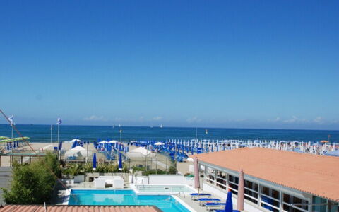 Butterfly With Beach & Breakfast Included: L'Eau, Ciel, Nuage, Plante, Cotiers Et Relief Océaniques, Piscine, Plage, Loisir, Arbre, Horizon