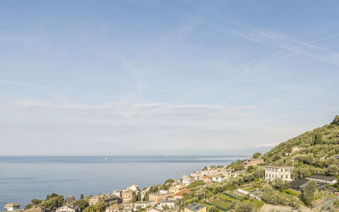 Pieve Ligure Seaside View, Wifi: Bleu, L'Eau, Bâtiment, Zone Résidentielle, Horizon, Côte, Mer, Été, Cotiers Et Relief Océaniques, Maison