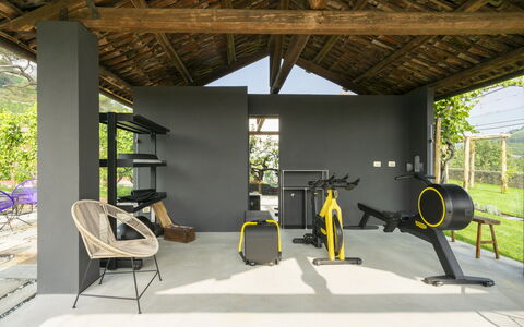 B&b Vigne Di Fagnano Without Kitchen: Plante, Ombre, Design Intérieur, Bois, Sol, Loisir, Sol, Chaise, Arbre, Faisceau