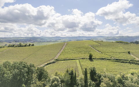 Arpusè, Relax nelle Langhe - Barolo, with Pool: Paysage Naturel, Agriculture, Plantation, Champ, Colline, Montagnes, Plaine, Paysage, Prairie, Zone Rurale