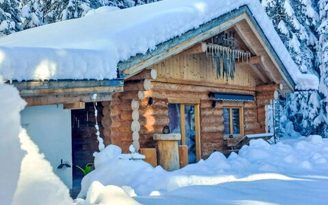 Chalet Lechtraum: Neige, Bâtiment, Fenêtre, Propriété, Maison, Branche, Bois, Arbre, Porte, Pente