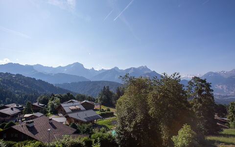 Chalet Domino: Plante, Ciel, Bâtiment, Propriété, Fenêtre, Arbre, Paysage Naturel, Lot Terre, Maison, Herbe