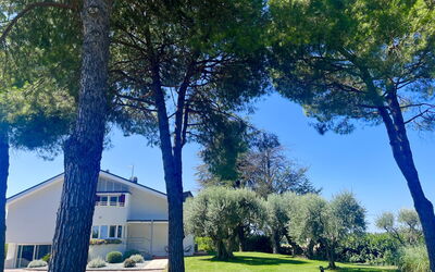 Villapronti