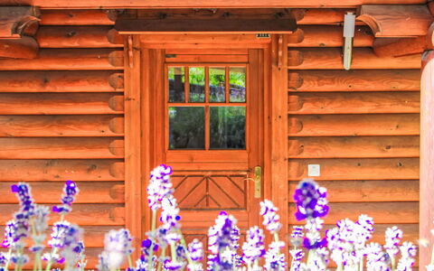 Chalet Sept: Meubles, Canapé, Confort, Ombre, Design Intérieur, Table, Salon, Fenêtre, Sol, Plante