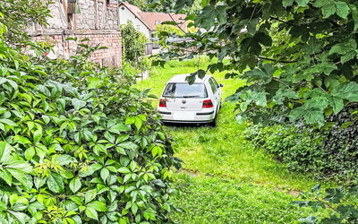 Das Kleine Paradies von Kata