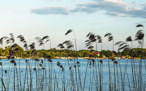 Bootshaus auf Dem See: Lac, Le Marais, Réservoir, Réflexion