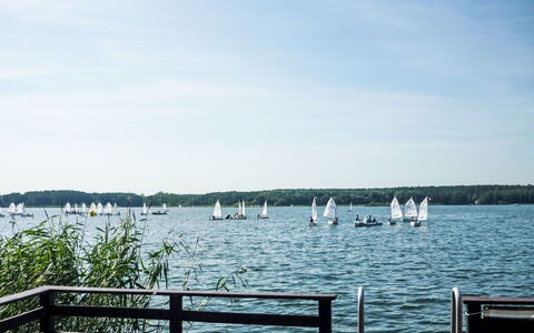 Bootshaus auf Dem See: Ciel, Plante, Bâtiment, Fenêtre, Arbre, Bois, Lot Terre, Chalet, Maison, Paysage