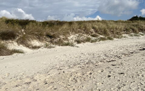 Eirik - 700M from the Sea: Domicile, Chalet, Siding, Dur, Ombre, Planche, Conception, Biens, Porche, Plate-Forme