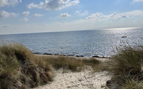 Eirik - 700M from the Sea: Bois, Domicile, Porche, Plate-Forme, Dur, Toit, Tache De Bois, Parquet, Eco Hôtel