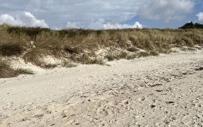 Eirik - 700M from the Sea